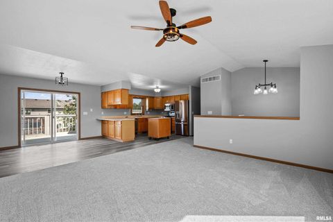 Tiny photo for 916 ASH Drive, Colona, IL 61241 (MLS # QC4267575)