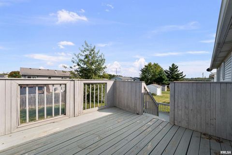 Tiny photo for 916 ASH Drive, Colona, IL 61241 (MLS # QC4267575)