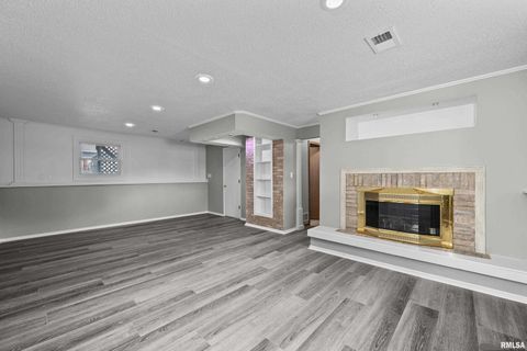 Tiny photo for 916 ASH Drive, Colona, IL 61241 (MLS # QC4267575)