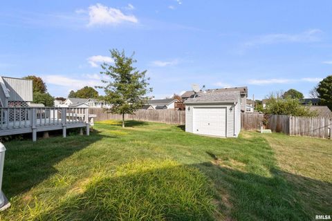 Tiny photo for 916 ASH Drive, Colona, IL 61241 (MLS # QC4267575)