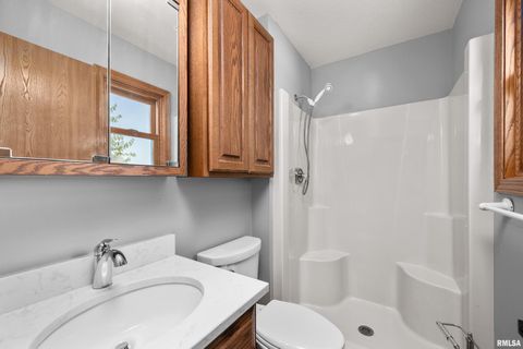 Tiny photo for 916 ASH Drive, Colona, IL 61241 (MLS # QC4267575)