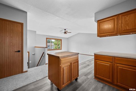 Tiny photo for 916 ASH Drive, Colona, IL 61241 (MLS # QC4267575)