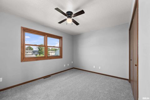 Tiny photo for 916 ASH Drive, Colona, IL 61241 (MLS # QC4267575)