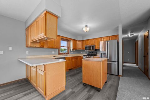 Tiny photo for 916 ASH Drive, Colona, IL 61241 (MLS # QC4267575)