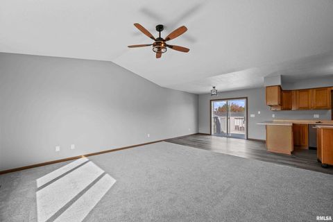 Tiny photo for 916 ASH Drive, Colona, IL 61241 (MLS # QC4267575)