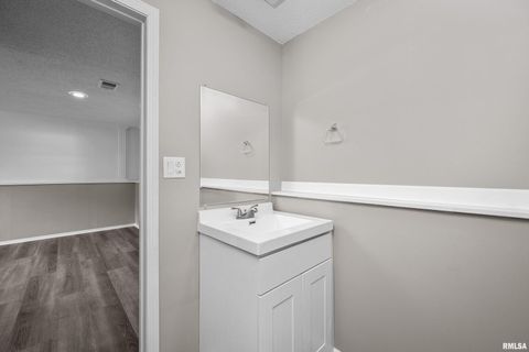 Tiny photo for 916 ASH Drive, Colona, IL 61241 (MLS # QC4267575)