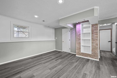 Tiny photo for 916 ASH Drive, Colona, IL 61241 (MLS # QC4267575)