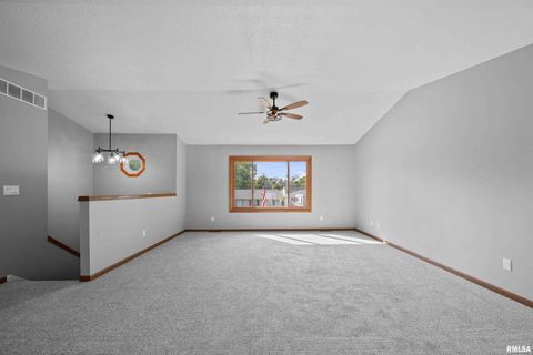 Tiny photo for 916 ASH Drive, Colona, IL 61241 (MLS # QC4267575)