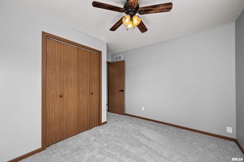 Tiny photo for 916 ASH Drive, Colona, IL 61241 (MLS # QC4267575)