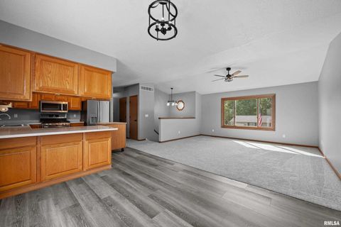 Tiny photo for 916 ASH Drive, Colona, IL 61241 (MLS # QC4267575)