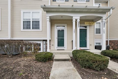 107 Terra Springs Drive Volo IL 60020