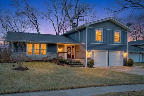 1335 Blair Lane Hoffman Estates IL 60169