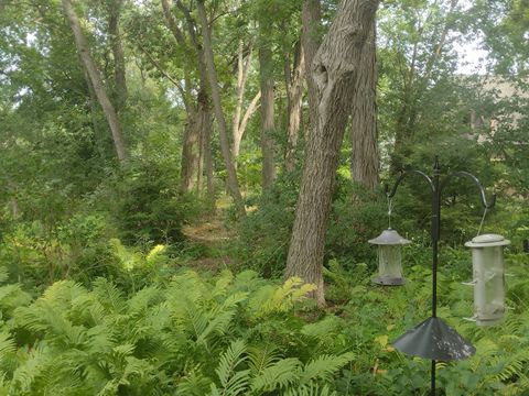 Tiny photo for 2461 Tall Oaks Drive, Elgin, IL 60123 (MLS # 12482574)