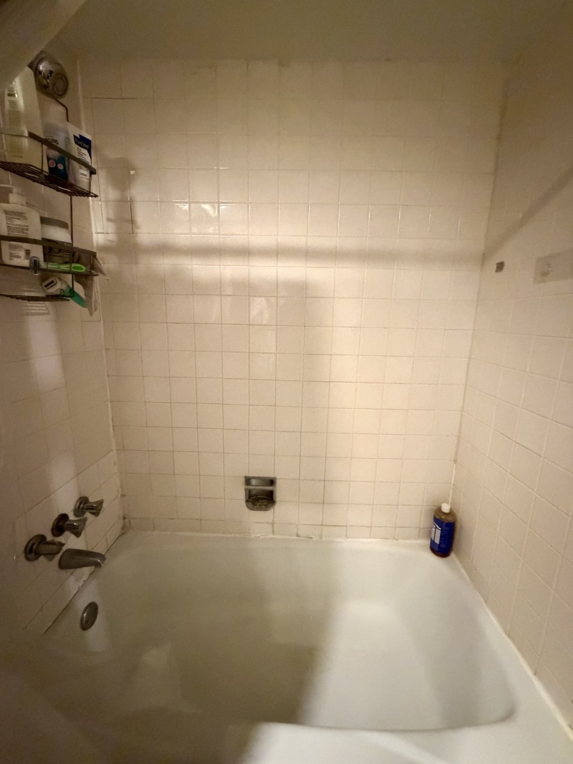 541 W OAKDALE Avenue 517