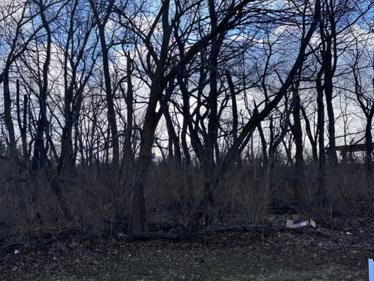 1859 ERIN LN, MORRIS, IL 60450 - Image bd3ad68902ff157fa3abb80f69e60ad3/2500263827
