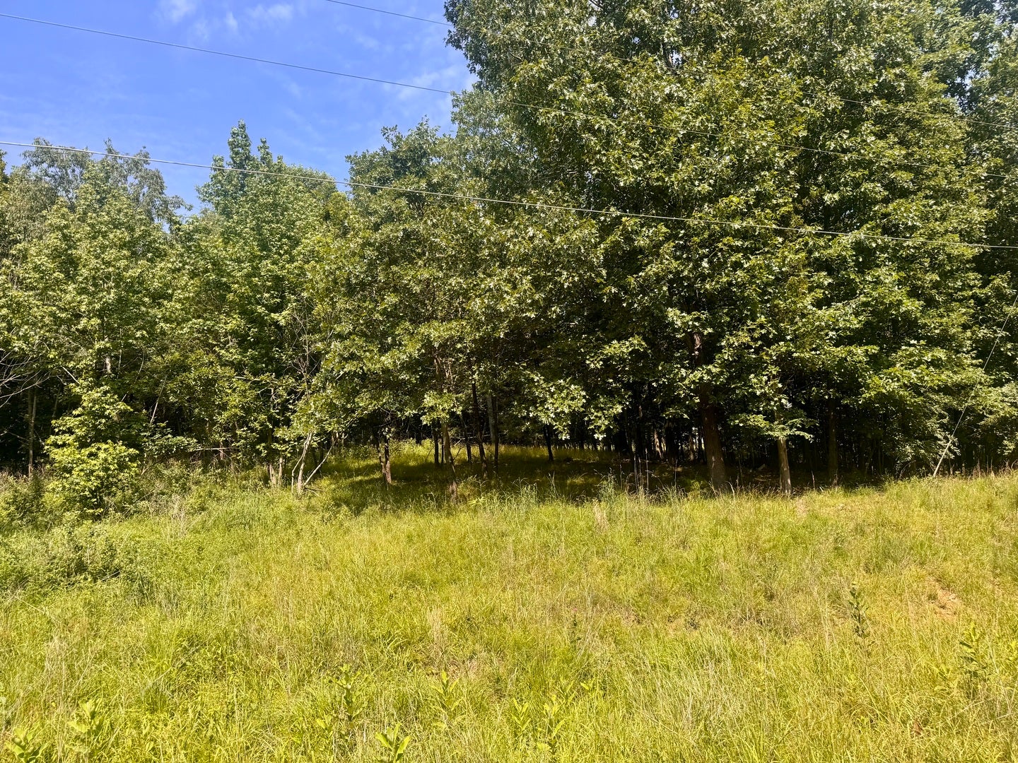 000 Shawnee Drive