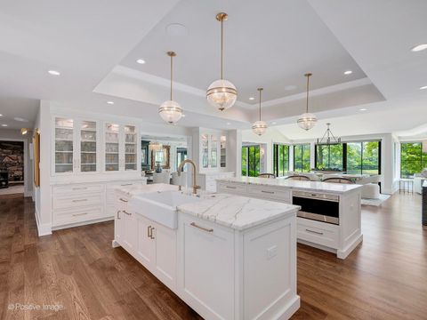 Tiny photo for 10S370 Madison Street, Burr Ridge, IL 60527 (MLS # 12471168)