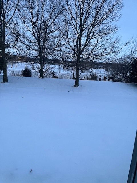 Tiny photo for 351 Campion Drive, Hampshire, IL 60140 (MLS # 12587736)