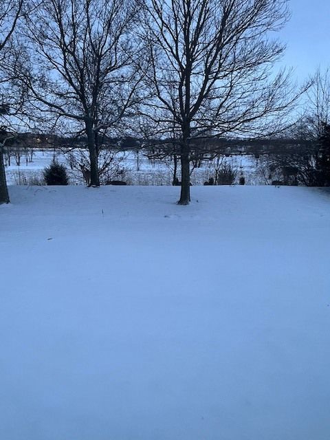 Tiny photo for 351 Campion Drive, Hampshire, IL 60140 (MLS # 12587736)