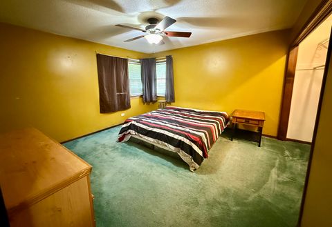 Tiny photo for 222 N Davis Avenue, Amboy, IL 61310 (MLS # 12518687)