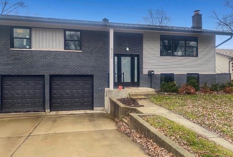 6717 Patton Drive Woodridge IL 60517