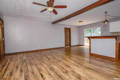 Tiny photo for 518 Roddy Road, Salem, IL 62881 (MLS # EB459018)