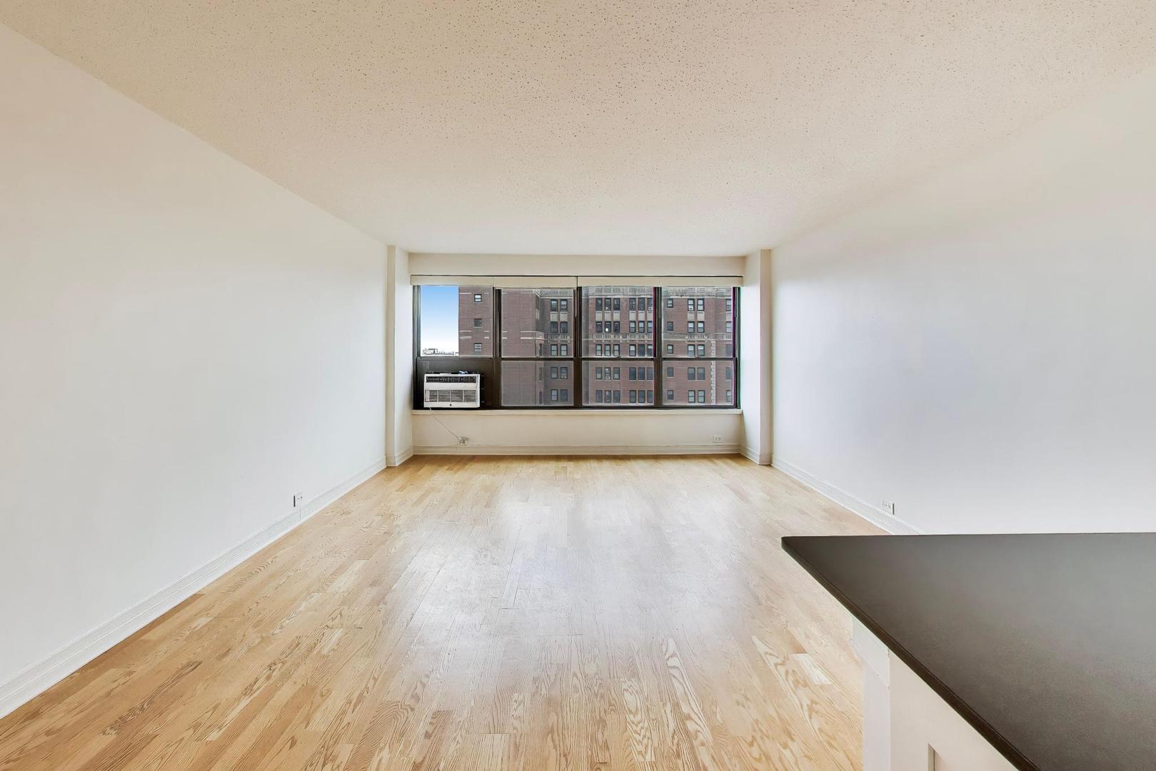 2930 N Sheridan Road 1403