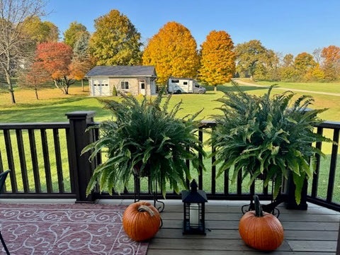 Tiny photo for 410 E 665 N, Valparaiso, IN 46383 (MLS # 12731538)