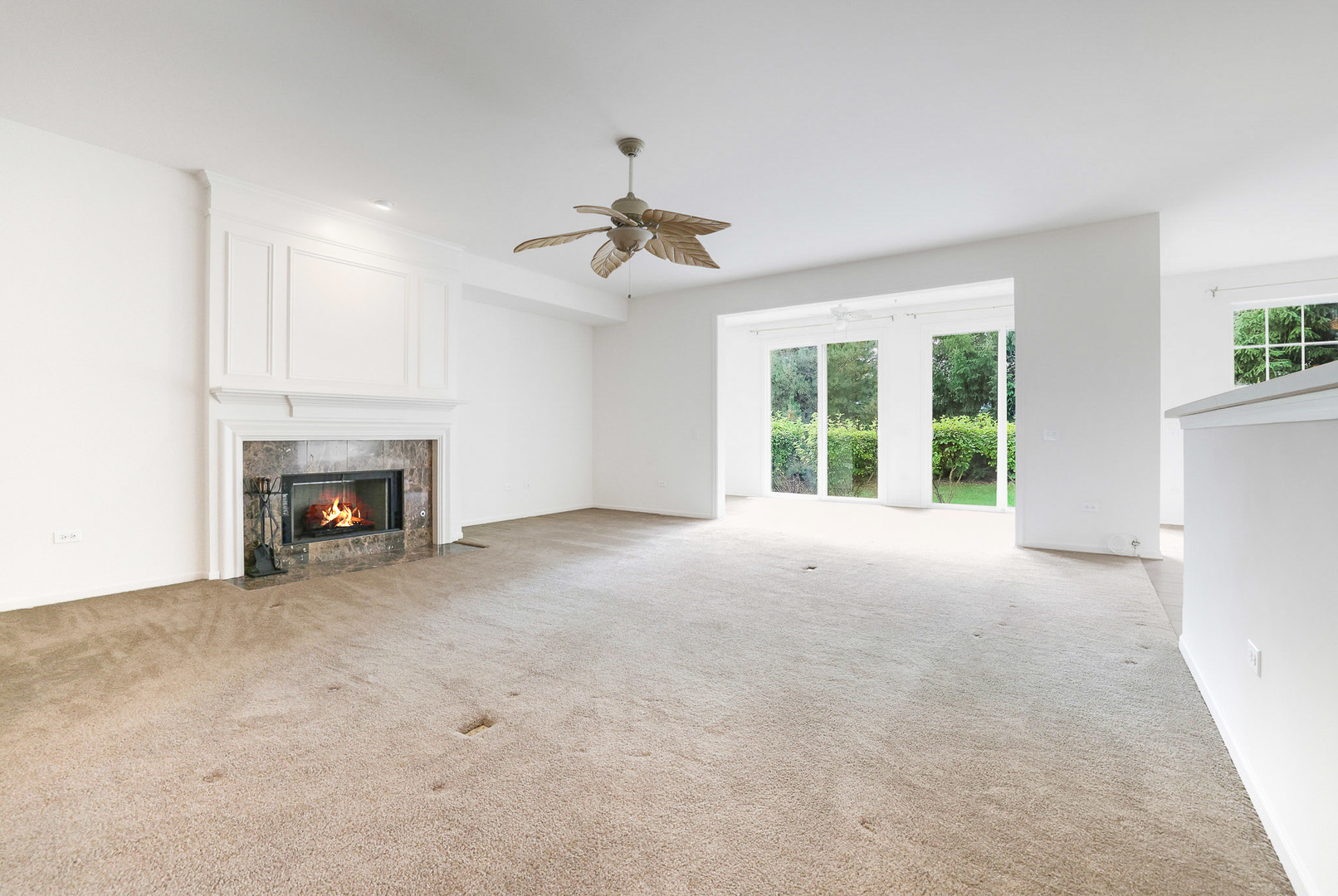 13813 Roosevelt Drive