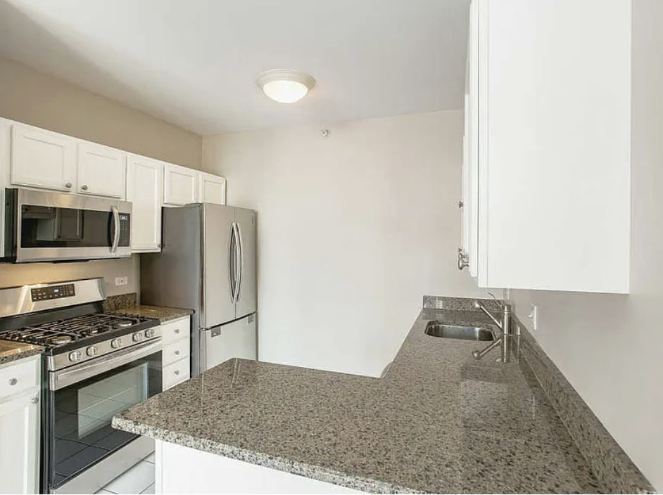 600 N DEARBORN Street 1207