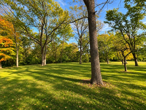 Tiny photo for 9453 1725 East Street, Tiskilwa, IL 61368 (MLS # 12756289)