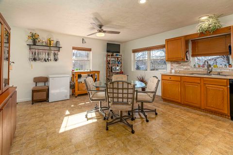 Tiny photo for 1002 E Main Street, WestFrank, IL 62896 (MLS # 100000043)