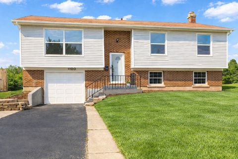 1100 Millbrook Drive Lake Zurich IL 60047