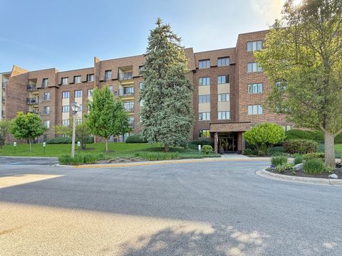 453 Raintree Drive 1N Glen Ellyn IL 60137