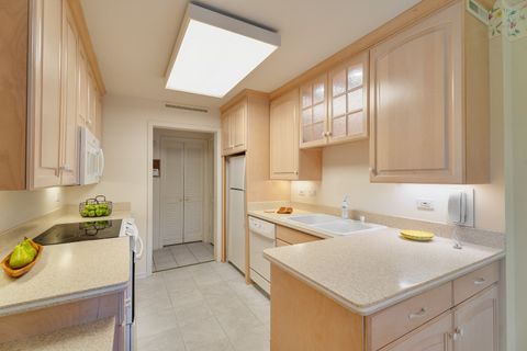 Tiny photo for 22 Park Lane #203, Park Ridge, IL 60068 (MLS # 12503240)