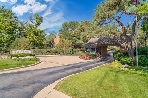 Tiny photo for 22 Park Lane #203, Park Ridge, IL 60068 (MLS # 12503240)