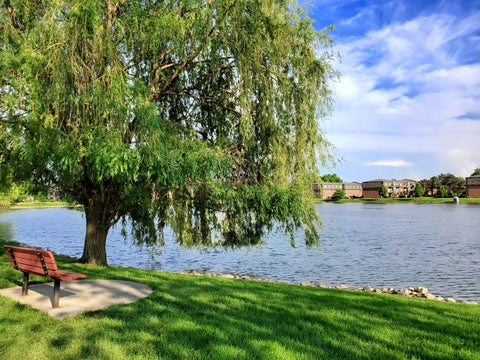Tiny photo for 9374 Bay Colony Drive #2S, Des Plaines, IL 60016 (MLS # 12764520)