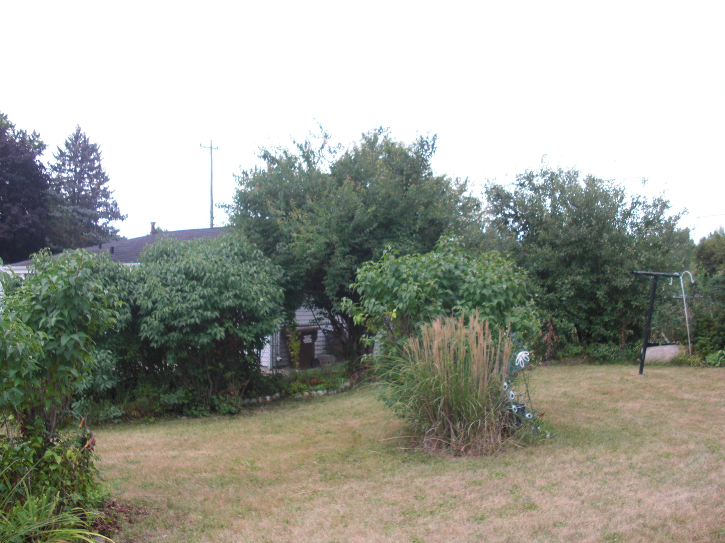 513 Overland Trail
