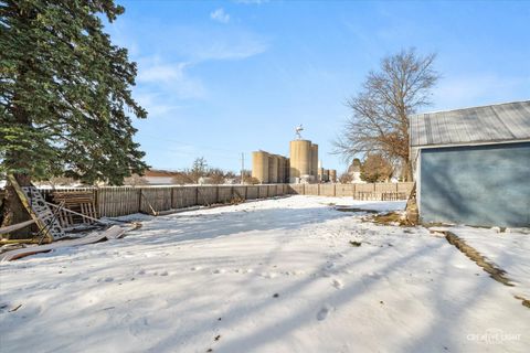 Tiny photo for 206 S Poplar Street, Sublette, IL 61367 (MLS # 12532919)