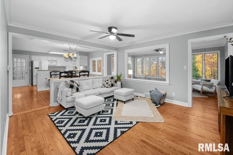 Tiny photo for 777 25TH Avenue Court, Moline, IL 61265 (MLS # QC4269536)