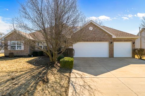 Photo of 820 W Locust Lane, Peotone, IL 60468 (MLS # 12575176)