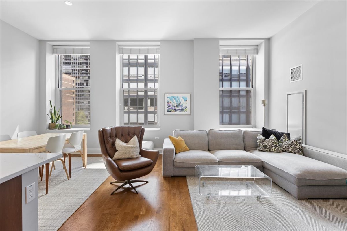 850 N Lake Shore Drive 510