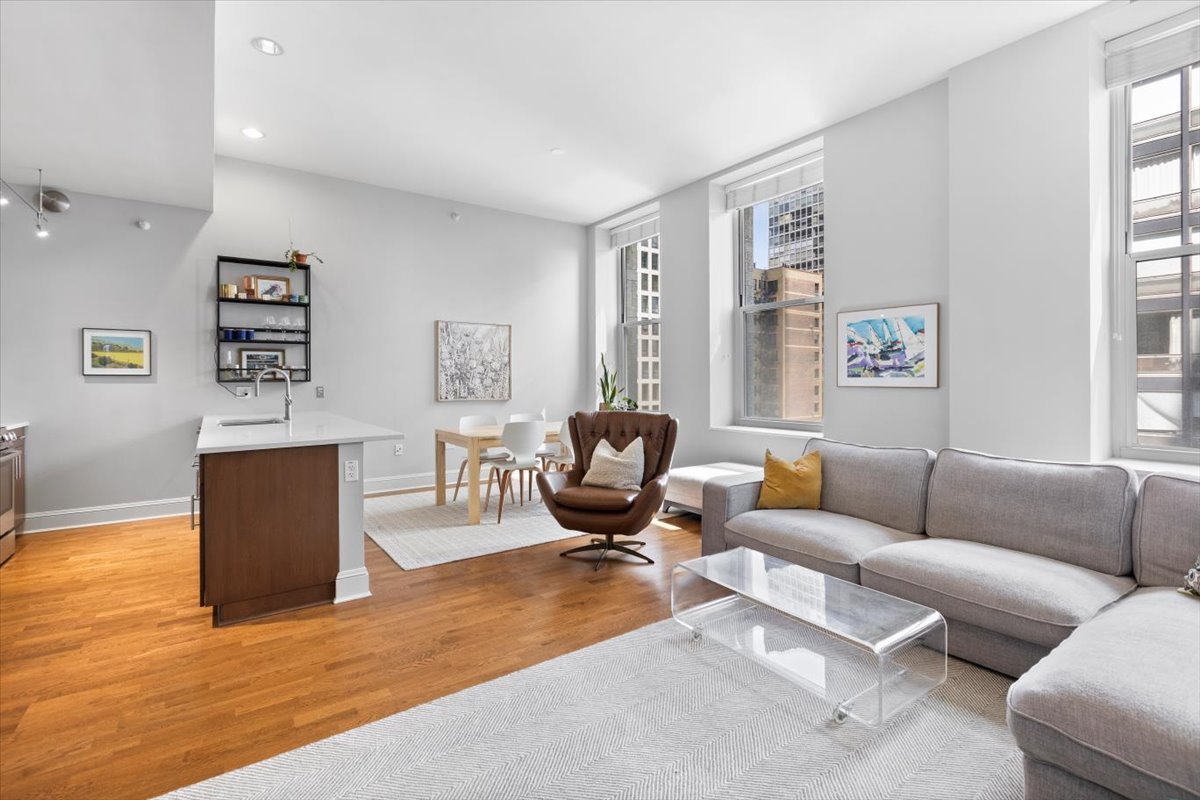 850 N Lake Shore Drive 510