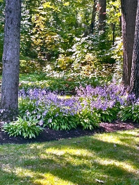 Tiny photo for 11 Wellington Court, Lincolnshire, IL 60069 (MLS # 12562452)