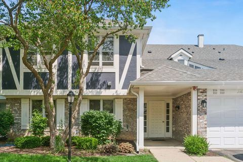 Photo of 256 Southwick Court #256, Vernon Hills, IL 60061 (MLS # 12666136)