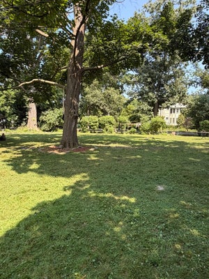 2530 MCDANIEL AVE, EVANSTON, IL 60201 - Image bdf3171b6e48ee36e6e2ccd0a595b4f7/3858071892