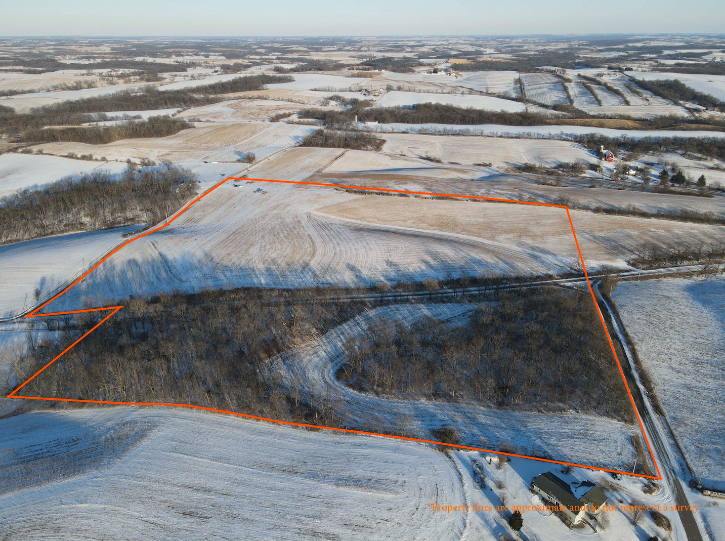 Listing image 1