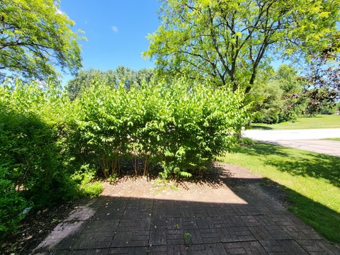 Tiny photo for 341 Wisteria Drive #341, Streamwood, IL 60107 (MLS # 12729336)