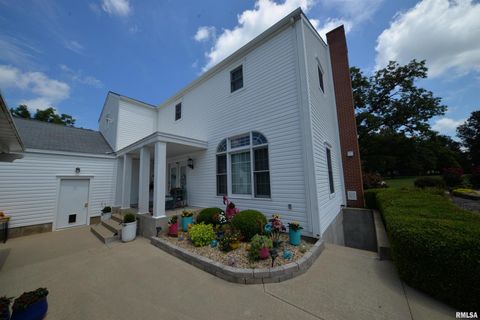 Tiny photo for 15821 N Tolle Lane, Mt Vernon, IL 62864 (MLS # EB459046)