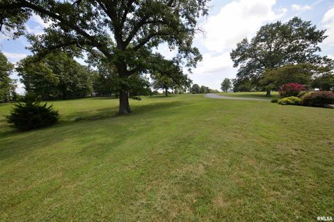 Tiny photo for 15821 N Tolle Lane, Mt Vernon, IL 62864 (MLS # EB459046)